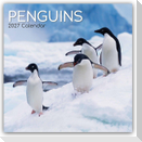Penguins - Pinguine 2027 - 16-Monatskalender