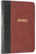 Schlachter 2000 Bibel - Taschenausgabe (Softcover, grau/braun)