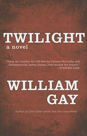 Gay, William. Twilight. Dzanc Books, 2015.