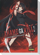 Akame ga kill! 15