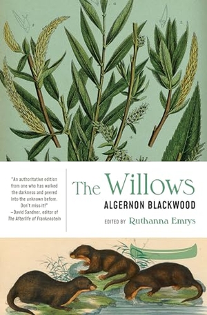 Blackwood, Algernon. The Willows. Laternfish Press, 2024.