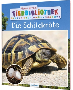 Gutjahr, Axel. Meine große Tierbibliothek: Die Schildkröte - Sachbuch für Vorschule & Grundschule. Esslinger Verlag, 2022.
