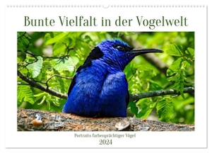 Kleemann, Claudia. Bunte Vielfalt in der Vogelwelt (Wandkalender 2024 DIN A2 quer), CALVENDO Monatskalender - Farbenpracht im Vogelreich.. Calvendo, 2023.