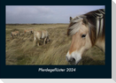 Pferdegeflüster 2024 Fotokalender DIN A4