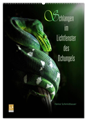 Schlangen im Lichtfenster des Dschungels (Wandkalender 2024 DIN A2 hoch), CALVENDO Monatskalender