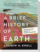 A Brief History of Earth