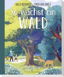 So wächst ein Wald