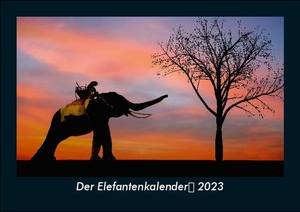 Tobias Becker. Der Elefantenkalender 2023 Fotokalender DIN A5 - Monatskalender mit Bild-Motiven von Haustieren, Bauernhof, wilden Tieren und Raubtieren. Vero Kalender, 2022.