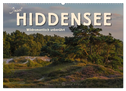 Insel Hiddensee - Wildromantisch unberührt (Wandkalender 2024 DIN A2 quer), CALVENDO Monatskalender
