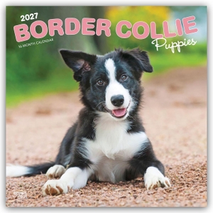 Publishers, Browntrout. Border Collie Puppies - Border Collie Welpen 2027 - 16-Monatskalender - Original BrownTrout-Kalender [Mehrsprachig] [Kalender]. Browntrout Verlags GmbH, 2026.