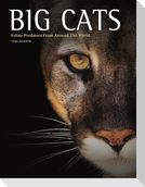 Big Cats