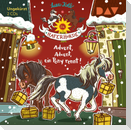 Die Haferhorde 16: Advent, Advent, ein Pony rennt!