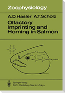 Olfactory Imprinting and Homing in Salmon