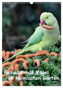 Bezaubernde Vögel im heimischen Garten (Wandkalender 2024 DIN A3 hoch), CALVENDO Monatskalender