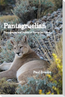 Pantagruelian