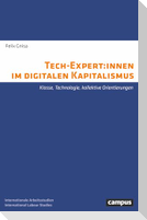 Tech-Expert:innen im digitalen Kapitalismus