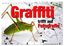 Graffiti trifft auf Fotografie (Tischkalender 2024 DIN A5 quer), CALVENDO Monatskalender