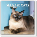 Siamese Cats - Siamkatzen - Siamesische Katzen 2027 - 16-Monatskalender