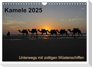 Kamele 2025 - Unterwegs mit zottigen Wüstenschiffen (Wandkalender 2025 DIN A4 quer), CALVENDO Monatskalender