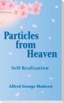 Particles from Heaven