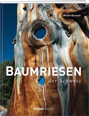 Brunner, Michel. Baumriesen der Schweiz. Weber Verlag, 2016.