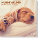 Hundewelpen / Puppy Dogs 2027