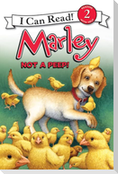 Marley: Not a Peep!
