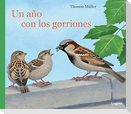 Un año con los gorriones