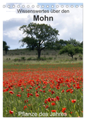 Wissenswertes über den Mohn - Pflanze des Jahres (Tischkalender 2024 DIN A5 hoch), CALVENDO Monatskalender
