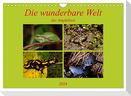 Die wunderbare Welt der Amphibien (Wandkalender 2024 DIN A4 quer), CALVENDO Monatskalender