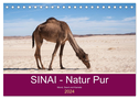 Sinai - Natur Pur (Tischkalender 2024 DIN A5 quer), CALVENDO Monatskalender