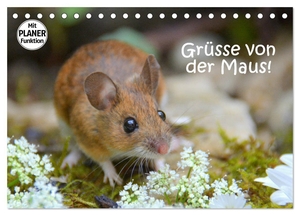 Gugigei, Gugigei. Grüsse von der Maus! (Tischkalender 2024 DIN A5 quer), CALVENDO Monatskalender - Zauberhafte Bilder einer kleinen Maus!. Calvendo, 2023.