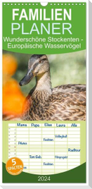 Familienplaner 2024 - Wunderschöne Stockenten - Europäische Wasservögel mit 5 Spalten (Wandkalender, 21 x 45 cm) CALVENDO