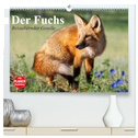 Der Fuchs. Bezaubernder Geselle (hochwertiger Premium Wandkalender 2024 DIN A2 quer), Kunstdruck in Hochglanz