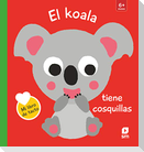 El koala tiene cosquillas