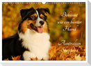 Bekannt wie ein bunter Hund. Australian Shepherd (Wandkalender 2024 DIN A3 quer), CALVENDO Monatskalender