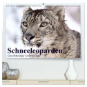 Schneeleoparden. Geschmeidige Gebirgsjäger (hochwertiger Premium Wandkalender 2024 DIN A2 quer), Kunstdruck in Hochglanz