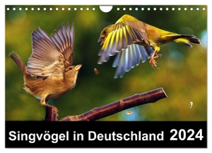 Klapp, Lutz. Singvögel in Deutschland (Wandkalender 2024 DIN A4 quer), CALVENDO Monatskalender - Ein Vogelkalender mit herrlichen Impressionen unserer Singvögel. Calvendo, 2023.