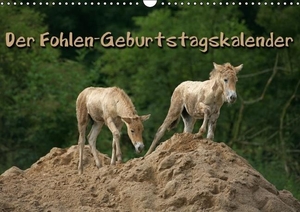 Berg, Martina. Der Fohlen-Geburtstagskalender (Wandkalender immerwährend DIN A3 quer) - Lebensfreude pur - Pferdekinder (Monatskalender, 14 Seiten). Calvendo, 2013.