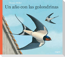 Un año con las golondrinas