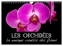 Les Orchidées - La musique visuelle des fleurs (Calendrier mural 2024 DIN A4 vertical), CALVENDO calendrier mensuel