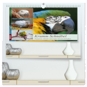 Krumm Schnäbel - Papageien, Sittiche und andere Krumm Schnäbel (hochwertiger Premium Wandkalender 2024 DIN A2 quer), Kunstdruck in Hochglanz