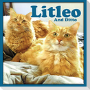 Litleo And Ditto