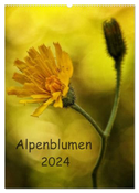 Alpenblumen 2024 (Wandkalender 2024 DIN A2 hoch), CALVENDO Monatskalender