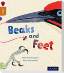Oxford Reading Tree inFact: Level 8: Beaks and Feet