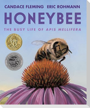 Honeybee