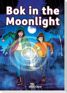 Striders Phonics Readers Set 05: Bok in the Moonlight