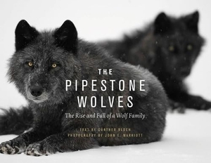 Bloch, Günther. The Pipestone Wolves - The Rise and Fall of a Wolf Family. Heritage House Publishing Co Ltd, 2024.