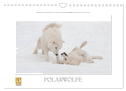 Emotionale Momente: Polarwölfe. (Wandkalender 2024 DIN A4 quer), CALVENDO Monatskalender