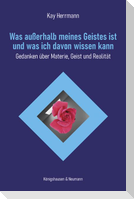 Was außerhalb meines Geistes ist und was ich davon wissen kann